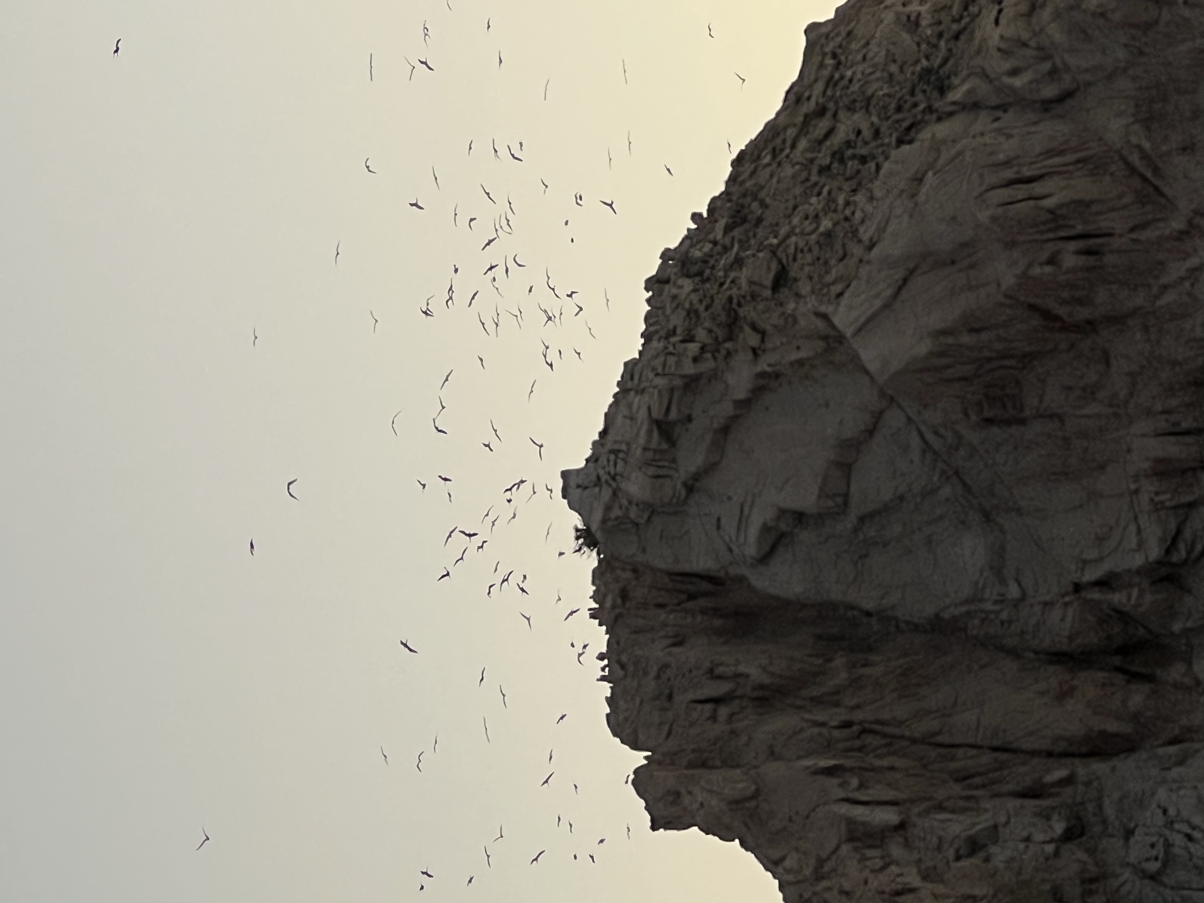 ./2024/13 - Cabo/IMG_4802.jpg